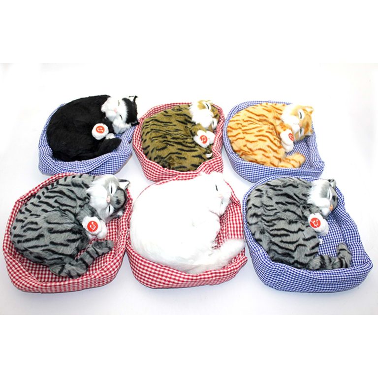 Yastıkda Uyuyan Horlayan Kedi Sesli Alk3416